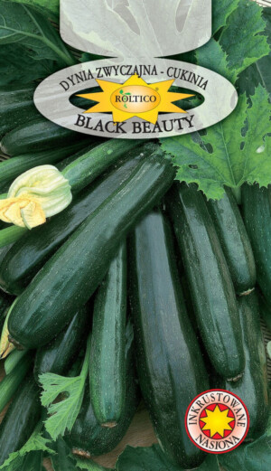 NASIONA-DYNIA Black Beauty 2g   INKRUST.