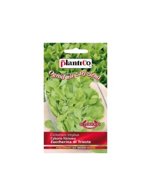 NASIONA-CYKORIA LIŚCIOWA 2g