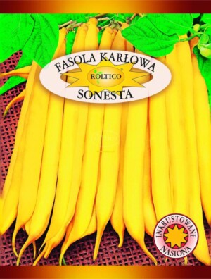 NASIONA-FASOLA Sonesta 30g