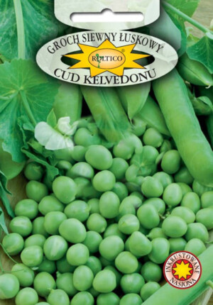 NASIONA-GROCH CUD Kelvedonu 40g   INKRUST.