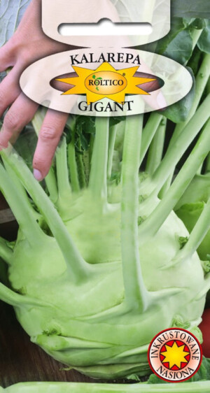 NASIONA-KALAREPA GIGANT 2g   INKRUST.