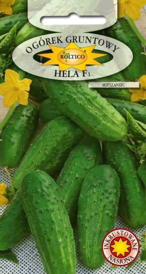 NASIONA-OGÓREK HELA F1 5g gruntowy
