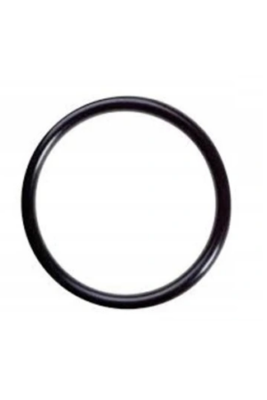 KWAZAR-ORING POMPY ORION 46x5