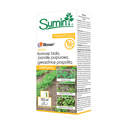 BOXER-800-EC_125-ml_24.07.2025-2-1-scaled