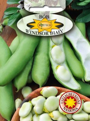 bob-windsor-bialy-ROL-261NU-05-g