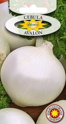 cebula-avalon-ROL-451-INNU-07