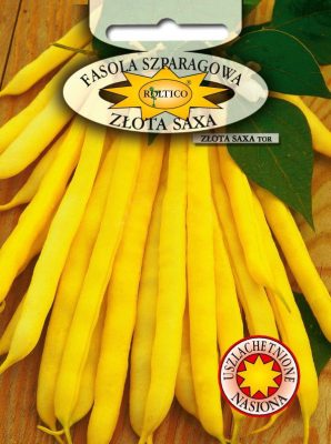 fasola-zlota-saxa-ROL-139NU-05-g