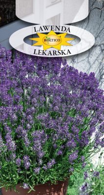 lawenda-lekarska-ROL-82-07_FRONT-01