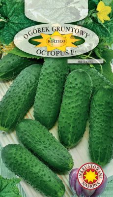 ogorek-octopus-ROL-176IN-06-768x1333