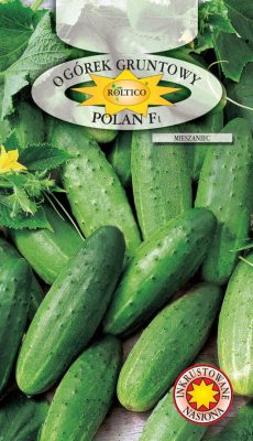 ogorek-polan-ROL-136IN-06-622x1080