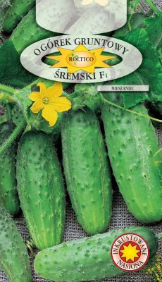 ogorek-sremski-ROL-227IN-06-622x1080