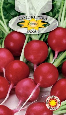 rzodkiewka-saxa3-ROL-228IN-06-622x1080