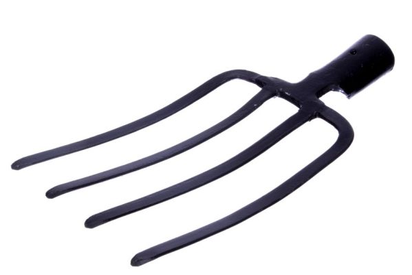 widly-ogrodnicze-ameryk-n-opr